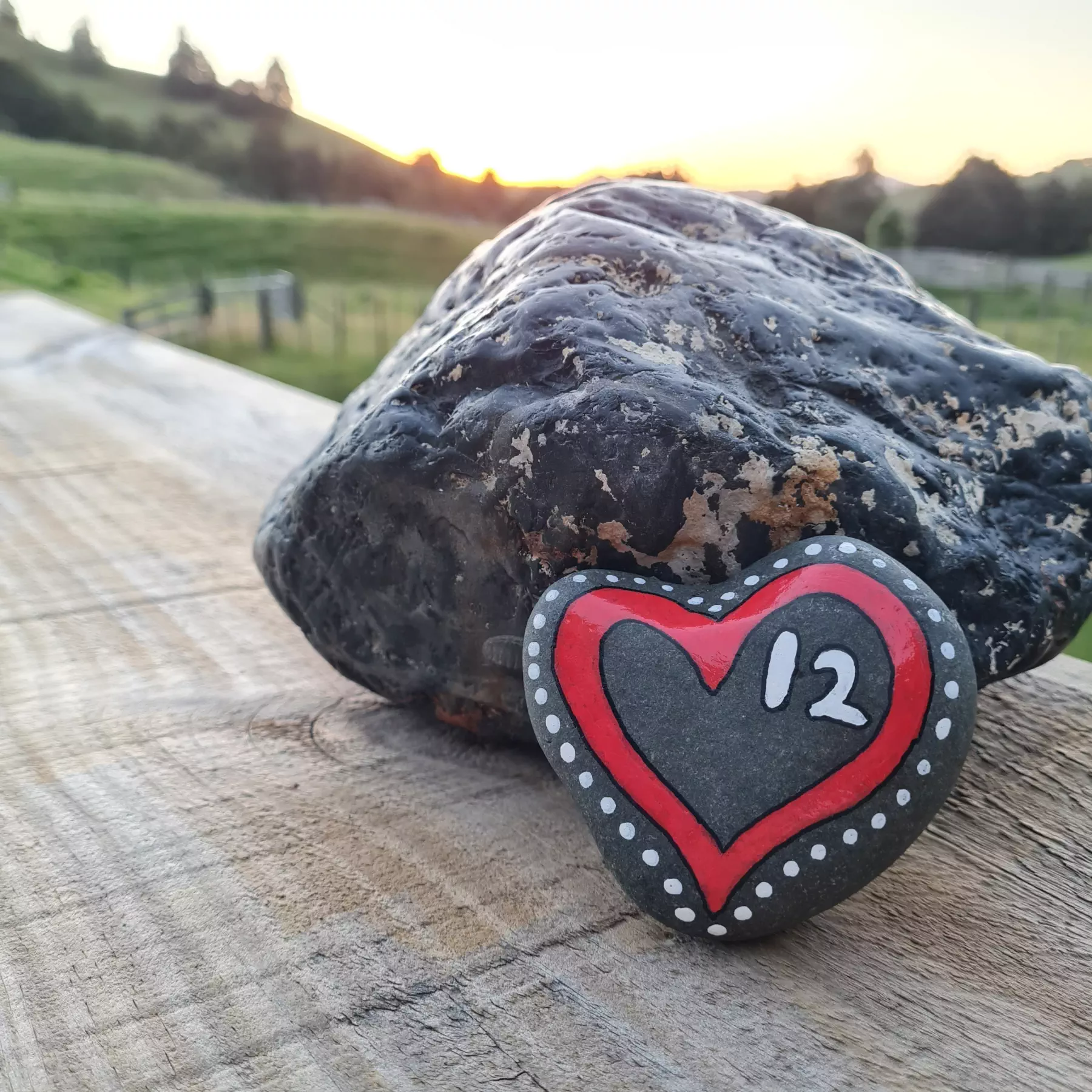 A rock painted with a heart and the number 12 as part of a 30 day challenge to climb Mount Graydoch