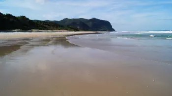 Looking down the beach at Opoutere