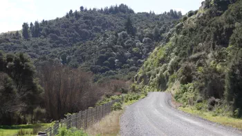 The road outside the Long Spur off-grid cabin in Wairarapa