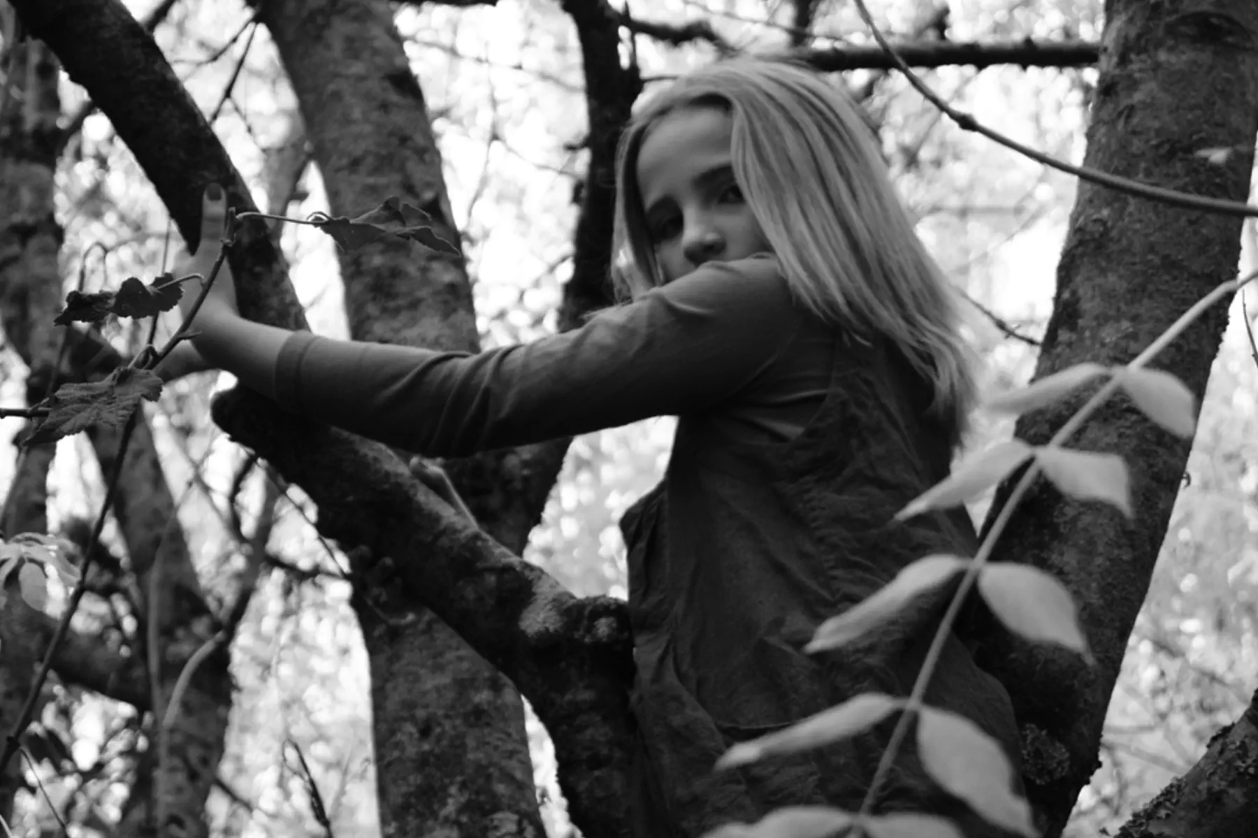 Black and white photo of a beautiful eleven-year-old girl in a tree turning to look at the camera